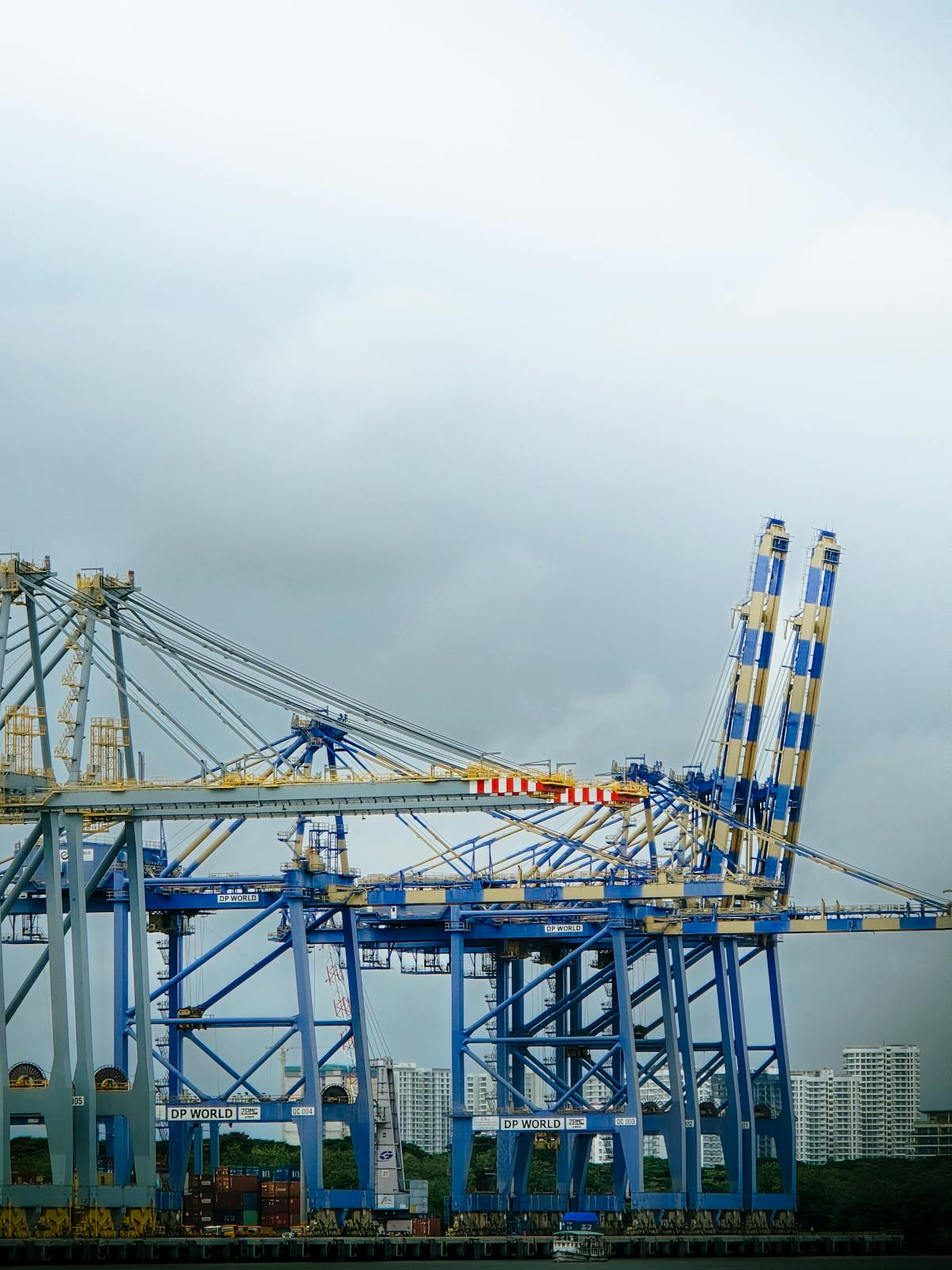 An India-born logistics company with global ambition